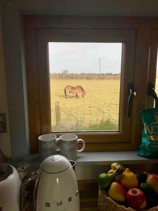 The Hut@Trefechan Wen - Coastal Coziness! Goodwick Екстериор снимка